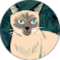 Review From Rafis PP