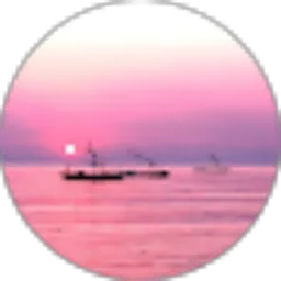 Review From arista guan