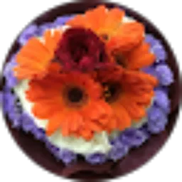 Review From Dytta R Gypsie