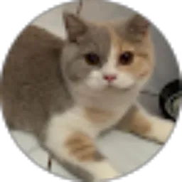 Review From SUTARMAN Ph.D.