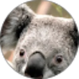 Review From Teddy Haryadi