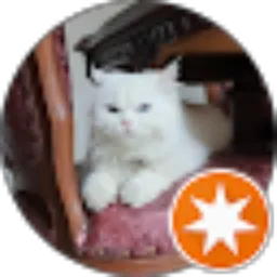 Review From Ghea Raudha