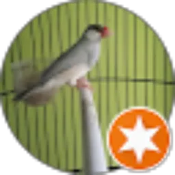 Review From Andy Kurnianto