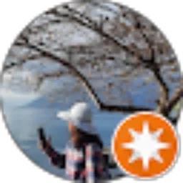 Review From Sudnoris S E Sianipar, SP