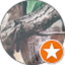 Review From ganeest Tyo