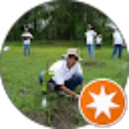 Review From Iwan Gumantara