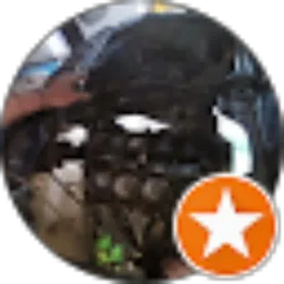 Review From Nurul Hakim