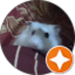 Review From Dewi Puspa