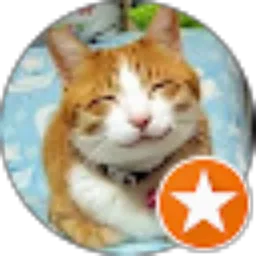 Review From Der Frühling