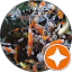 Review From WIDDYA KOI NGAWI