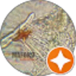 Review From MAFORD Collection