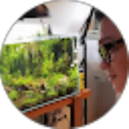 Review From Amien Fengshui