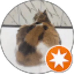 Review From Youcan Trustlinda