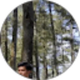 Review From Angga Permana