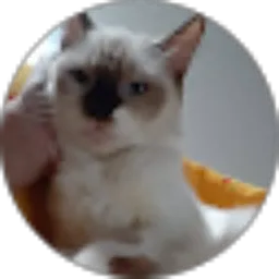 Review From Abah Herri