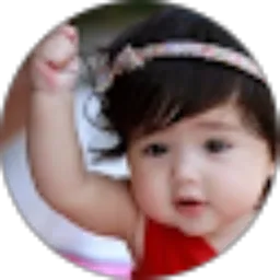 Review From ROCKY LEE