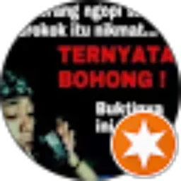 Review From Hendro VivoV7