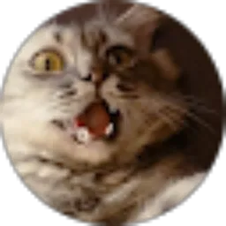 Review From miko mocha