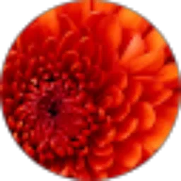 Review From eko wijayanto