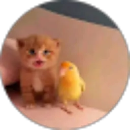 Review From Ermi Charellint