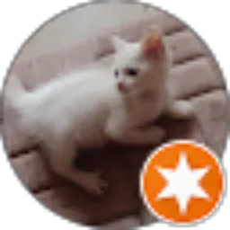 Review From novi andriyawati