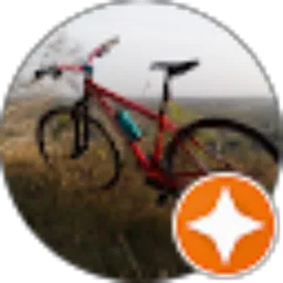 Review From Erwin Budiman