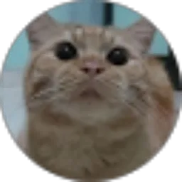 Review From Nastiti Istami Putri