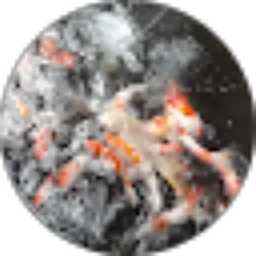 Review From Podo rukun Sejahtera