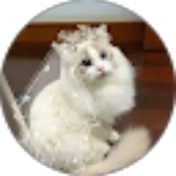 Review From Prince Ayu