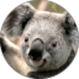 Review From Shidiq Patria