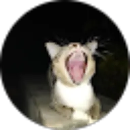 Review From Kocheng !