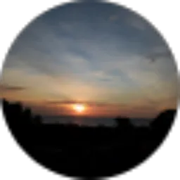 Review From niko anindia