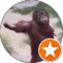 Review From Ilman Bahri