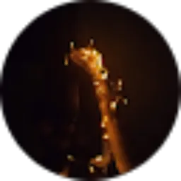 Review From Amanda Rahma