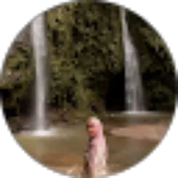 Review From Dwi Maulina