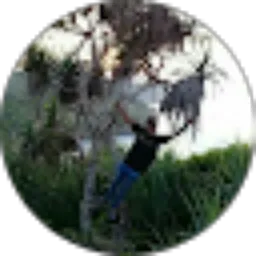 Review From exsan Ns