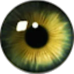 Review From Wahyu Santoso