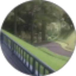 Review From Agung Setyodinoto