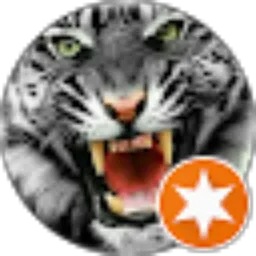 Review From Nasruloh Driver