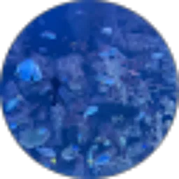 Review From Azizah Yusra