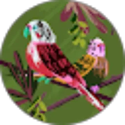 Review From Azizah Shafwa