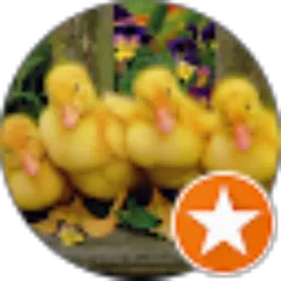 Review From Safrizal 0000