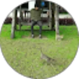 Review From agus setiawan