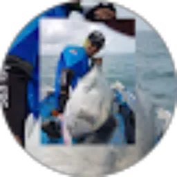 Review From ansyari gitz