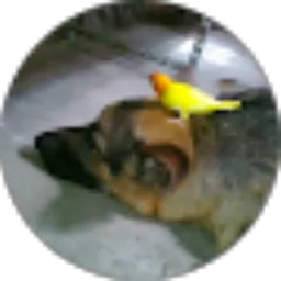 Review From suryanto thiensan