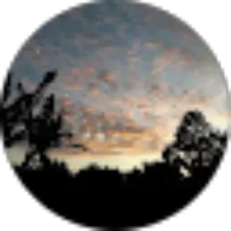 Review From Budi santoso