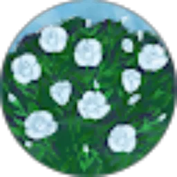 Review From selvia carolina