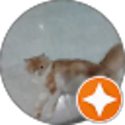 Review From Layyina Miska