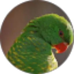 Review From Ruskian Hariadi