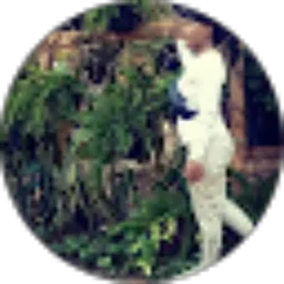 Review From Imeh Baadillah